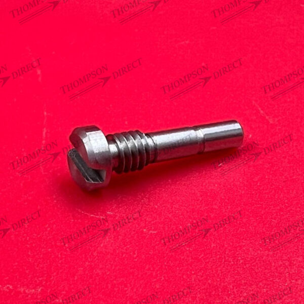 8411021 Screw Pin-Up / LW Guide